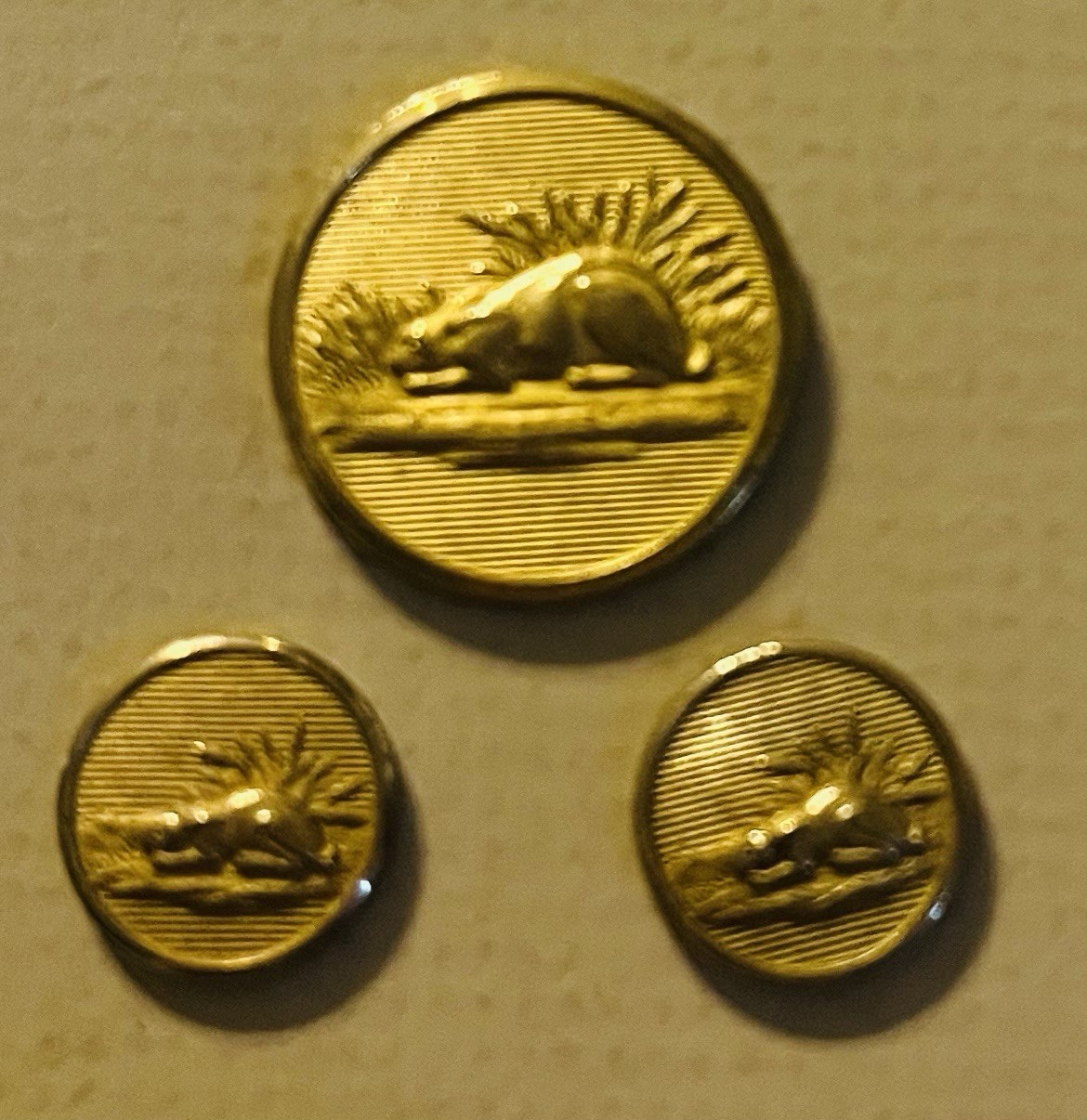 Ex RARE Antique RABBIT Sporting Brass Button, Ca., 1900s/1920s