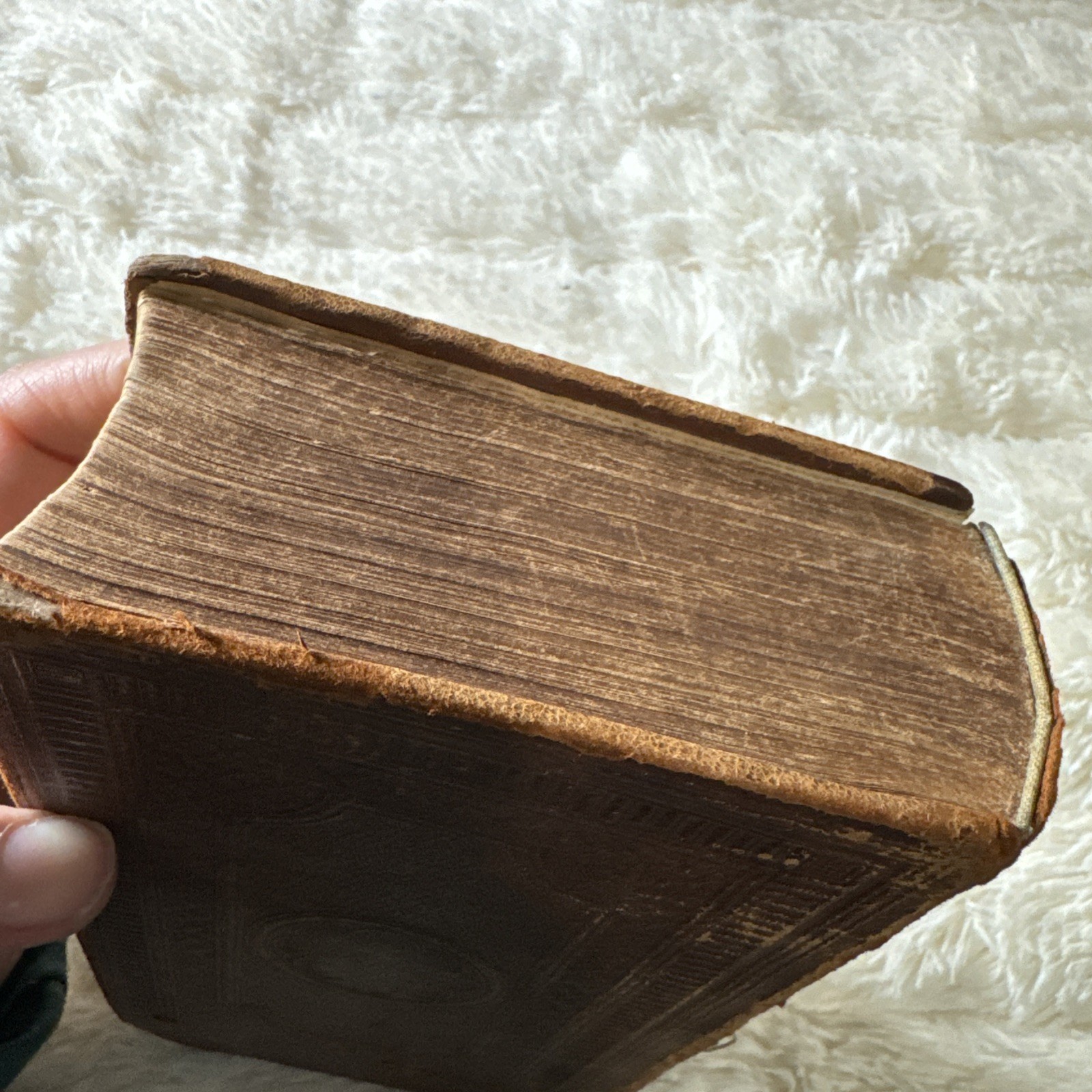 1853 Bible A4
