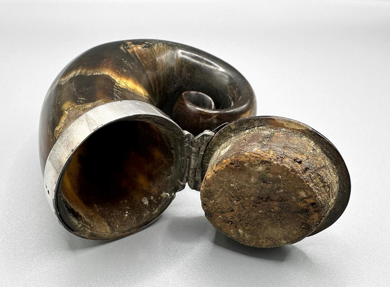 GEORGIAN SCOTTISH THISTLE SILVER MOUNTED RAMS HORN SNUFF MULL c1820