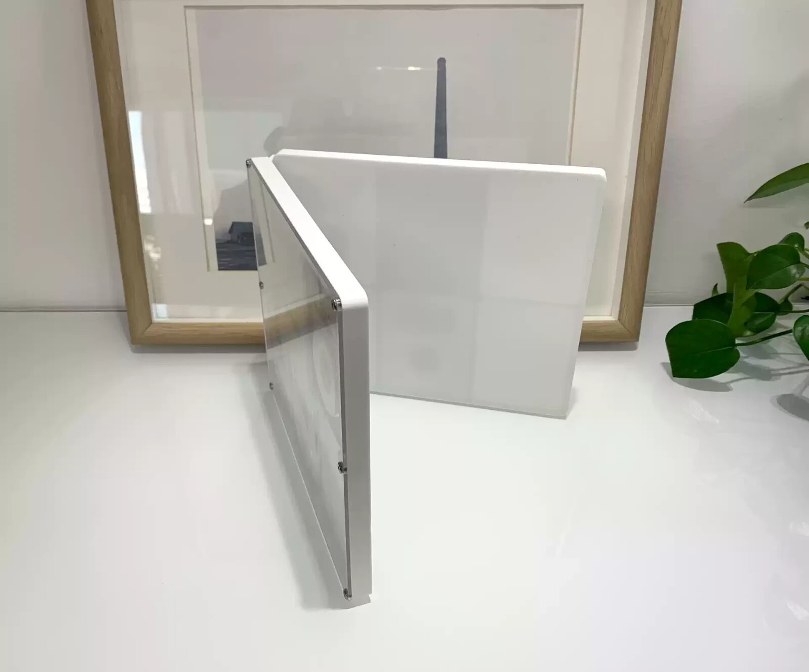 CUSTOMIZE Your Display Frame Box Showcase of NGC/PCGS/ANACS Coin Slab Holder