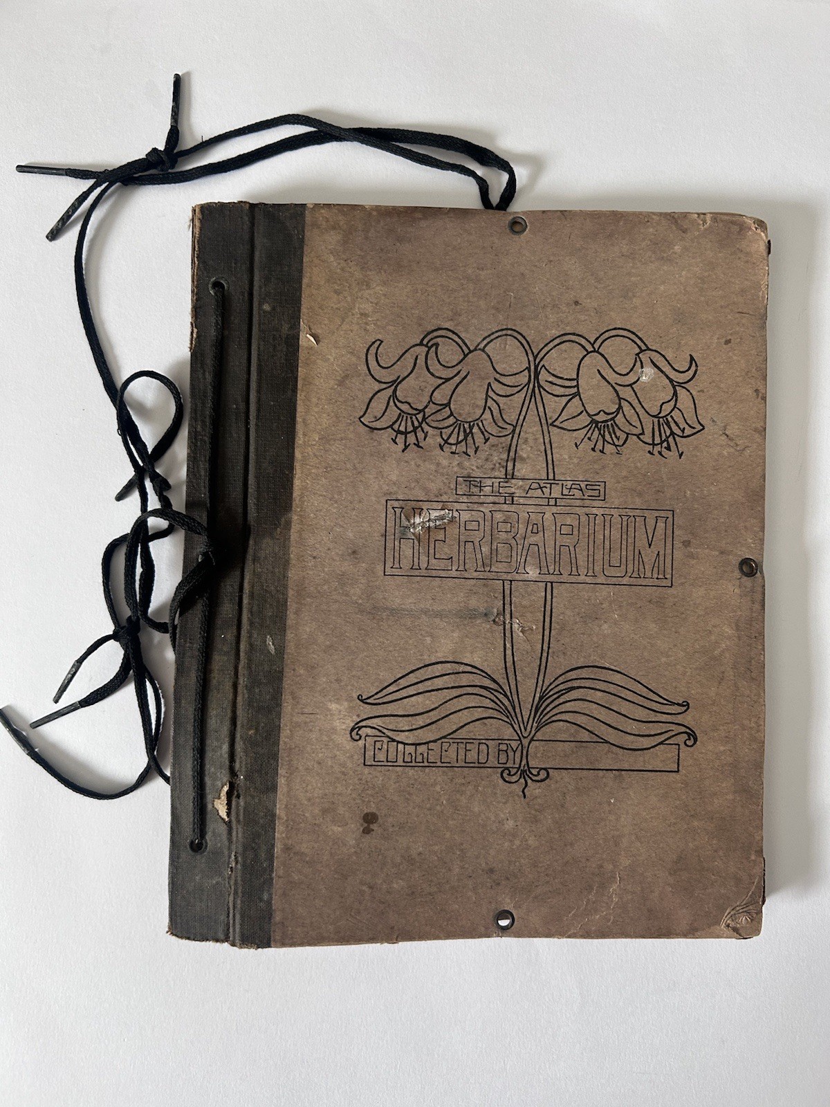 Antique 1914 Atlas Herbarium Botanical Album – Pressed Flowers, Named Collector