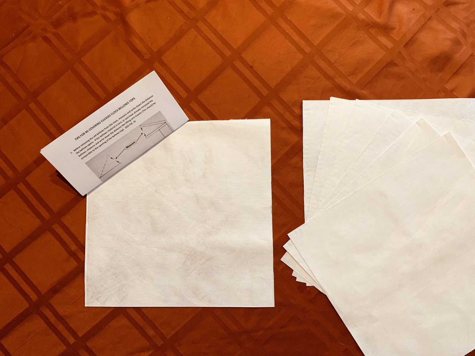 ORIGINAL Paper Cuckoo Bellows Material 12” x 12” With Instructions. Perfect.