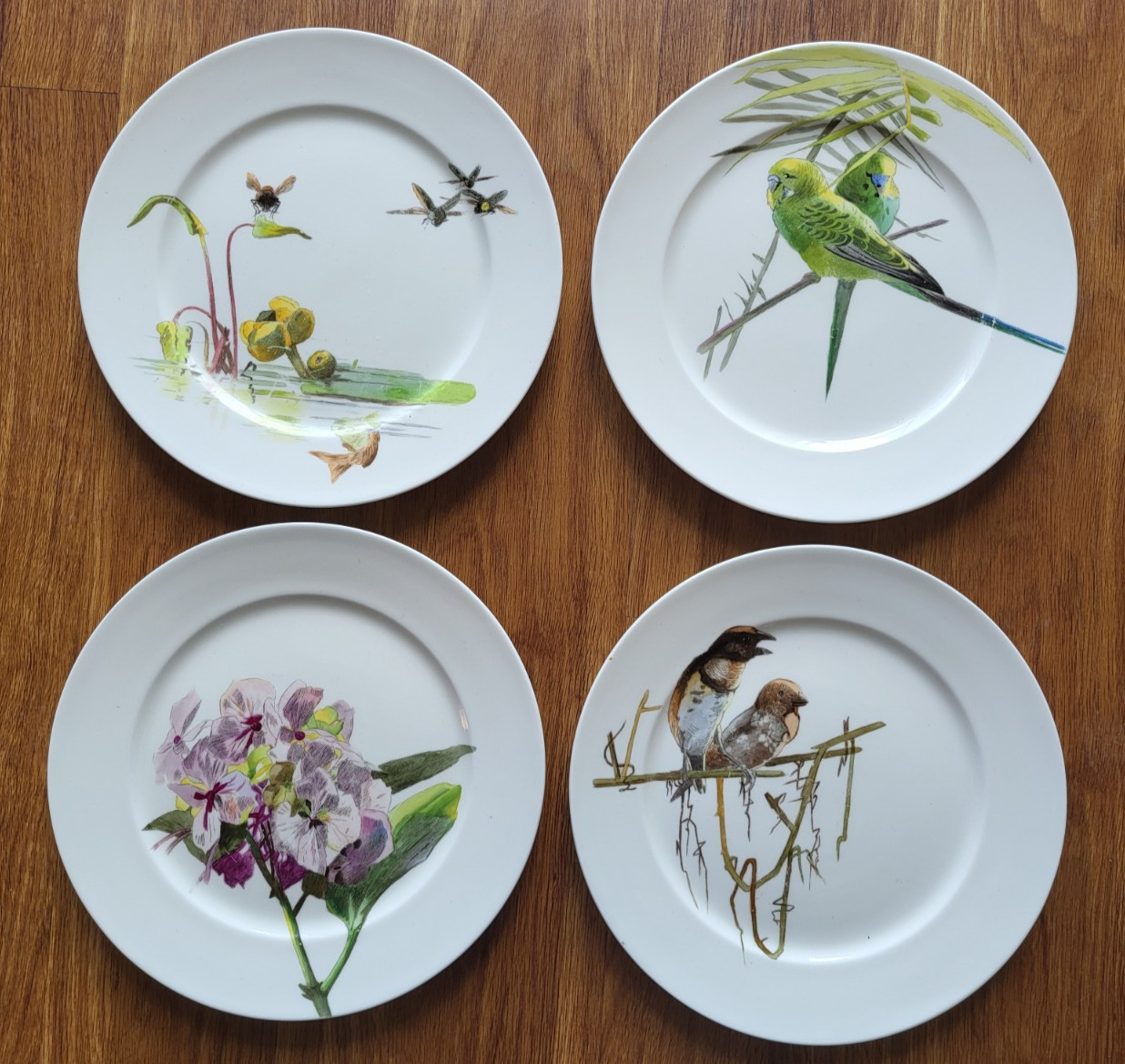 SET OF FOUR ANTIQUE CAULDON – BIRDS INSECTS FISH DESIGN 10.5″ DINNER PLATES
