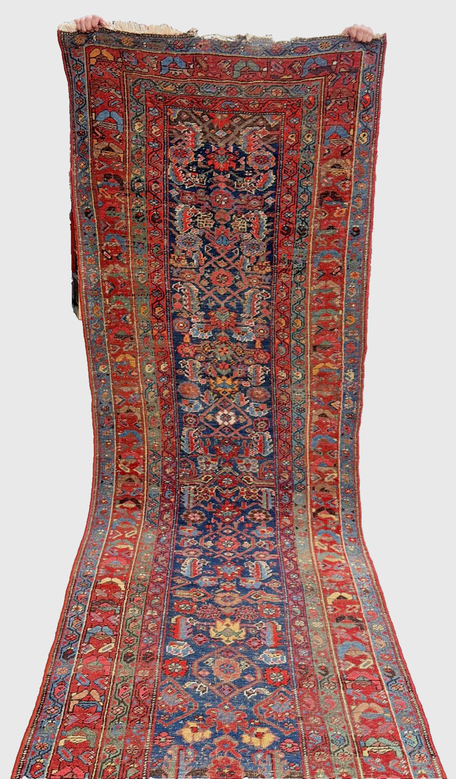 Auth: 19th C Antique Bijar Runner Rare Kurdish Beauty Organic Blue 4″X18′