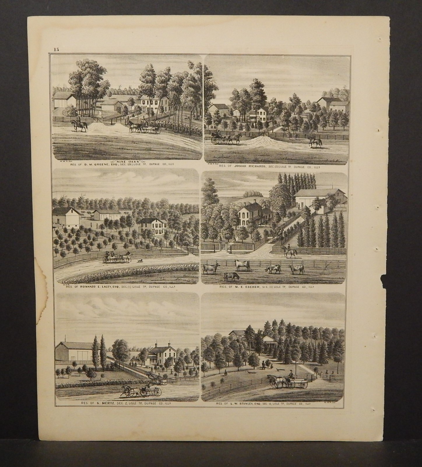 Illinois Du Page County Map nine Oaks Engravings 1874 K13#92