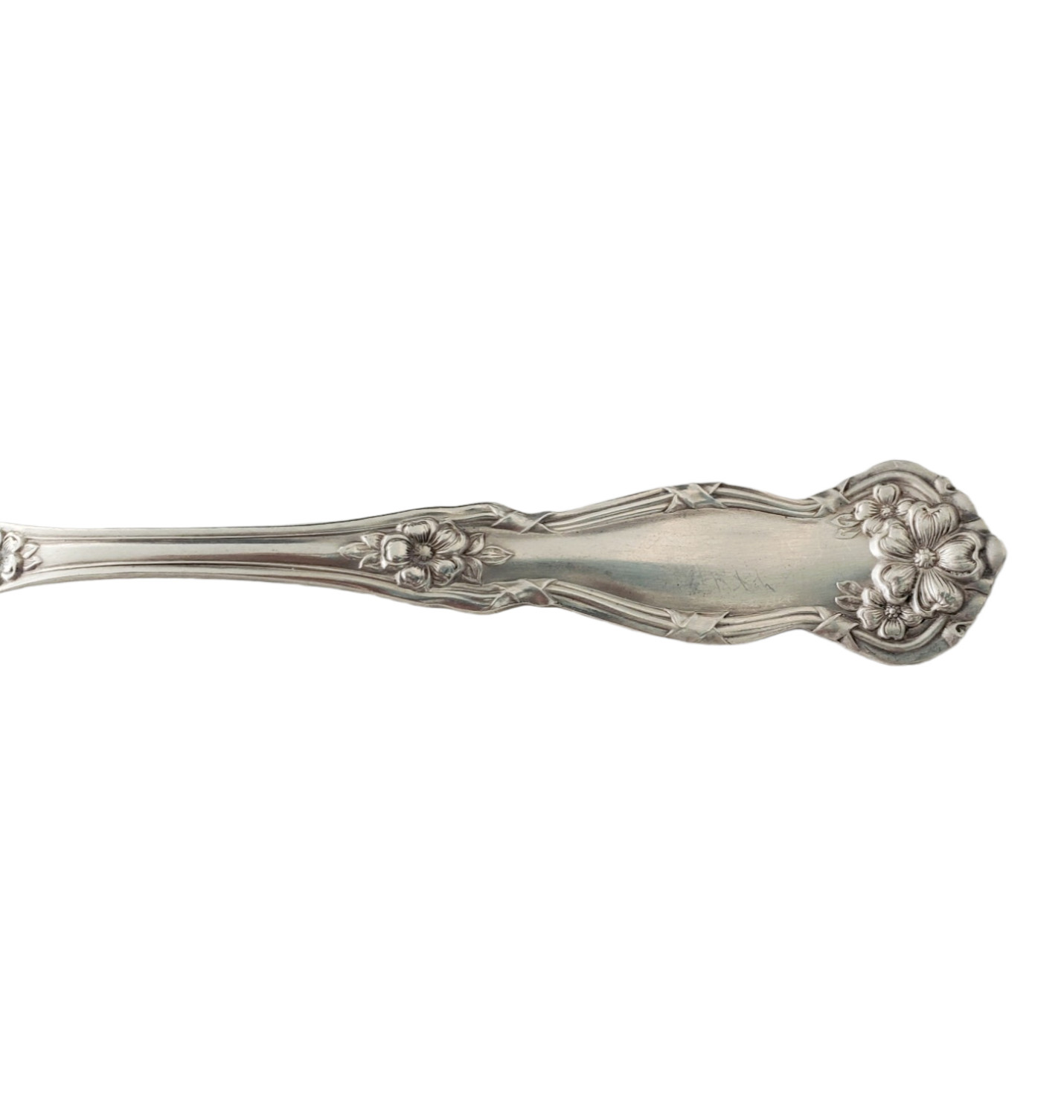 ARBUTUS International Wm Rogers & Son Silverplate SALAD FORK 6 1/2 Inch 1908