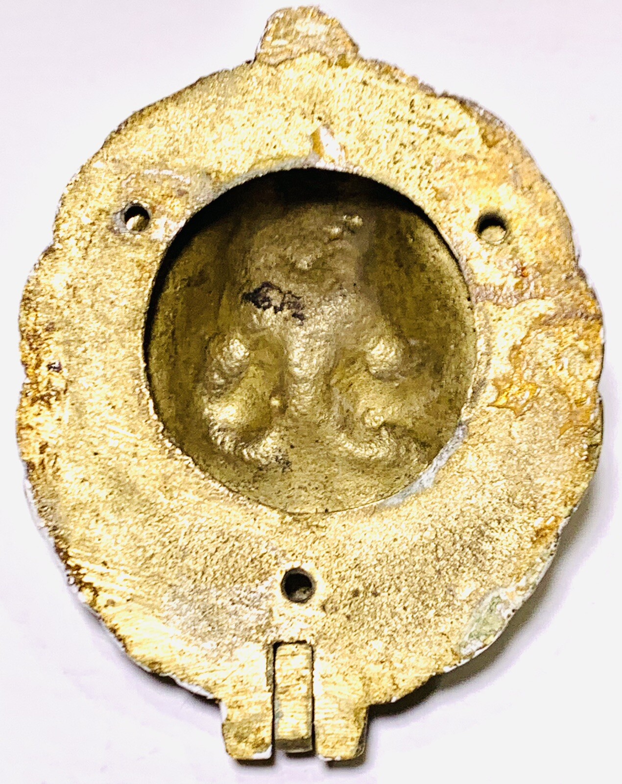 Vintage Brass Lion Door Knocker 3-3/8”x2-5/8”x1-3/8” With Original Brass Screws