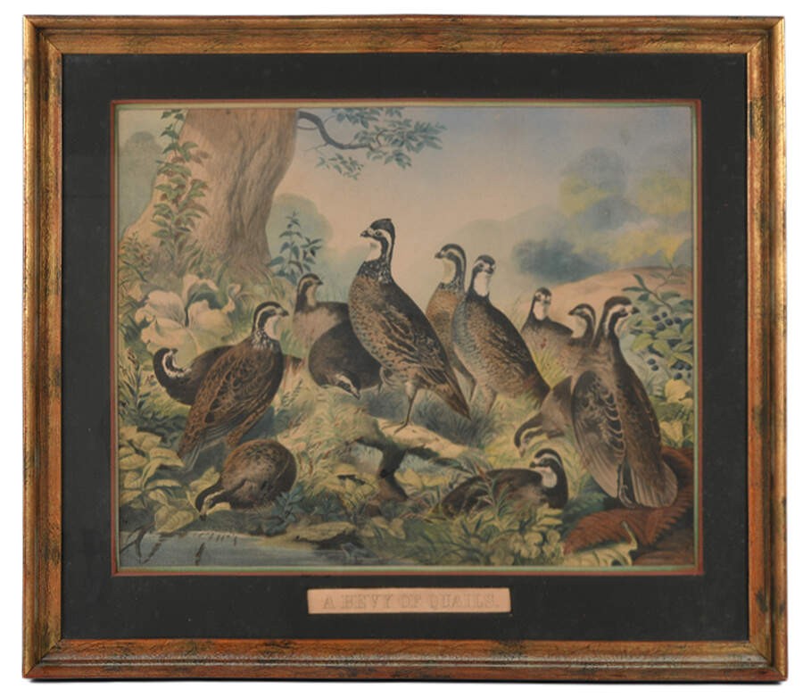 Framed J.S. Hill “A Bevy of Quails” Print