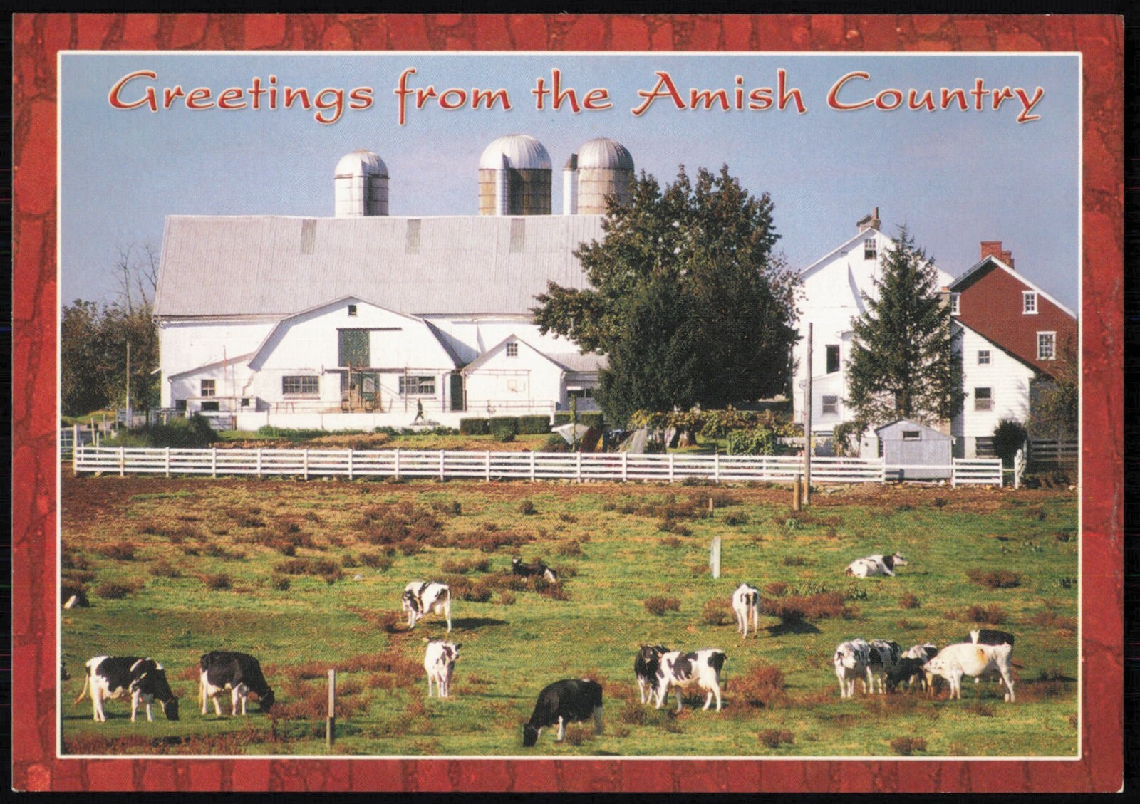 Greetings From The Amish Country Post Card