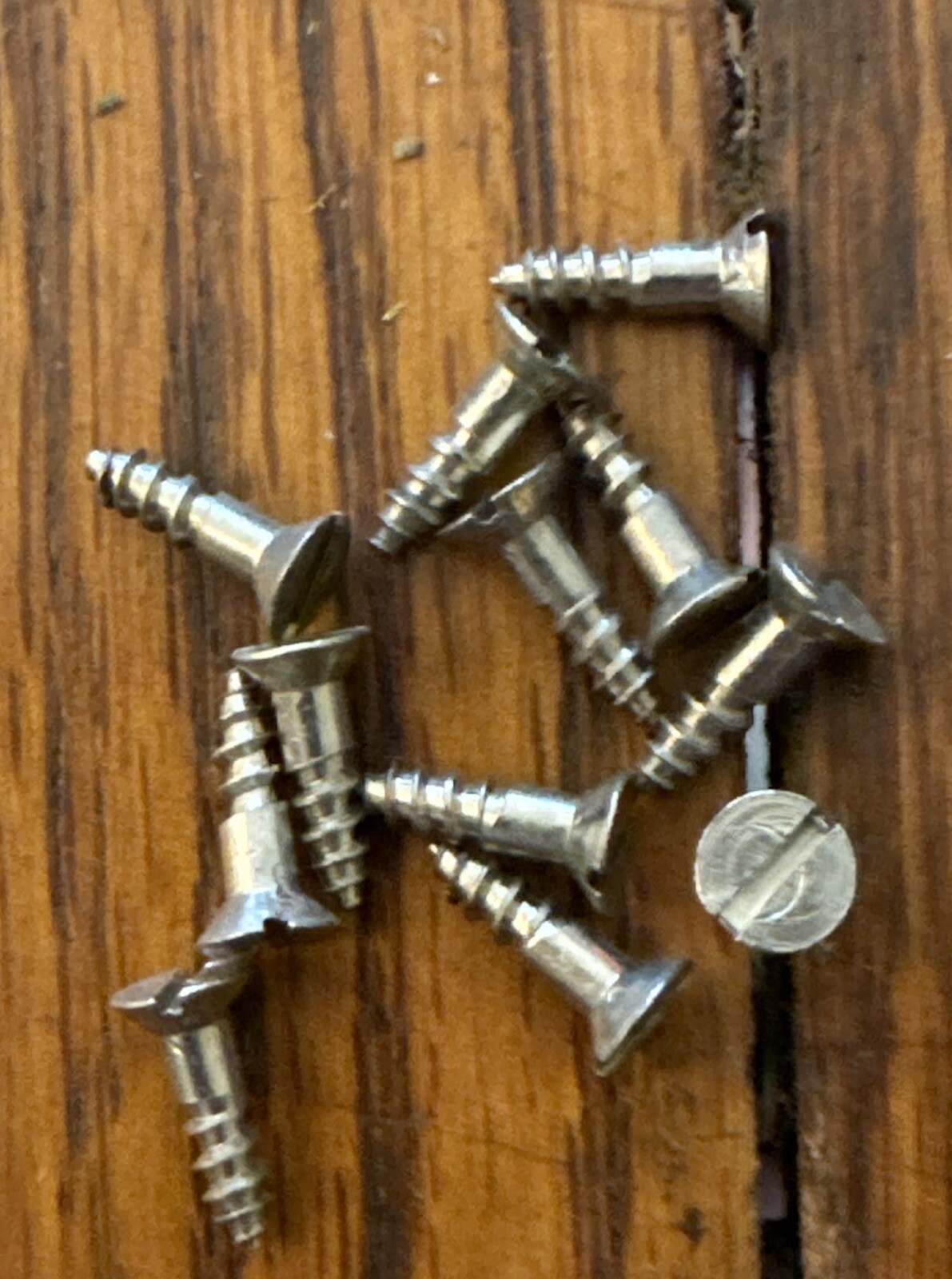 Wood Screws American Slotted Flat Head # 3 X 3/8” Brass Nickel Plated Free Ship