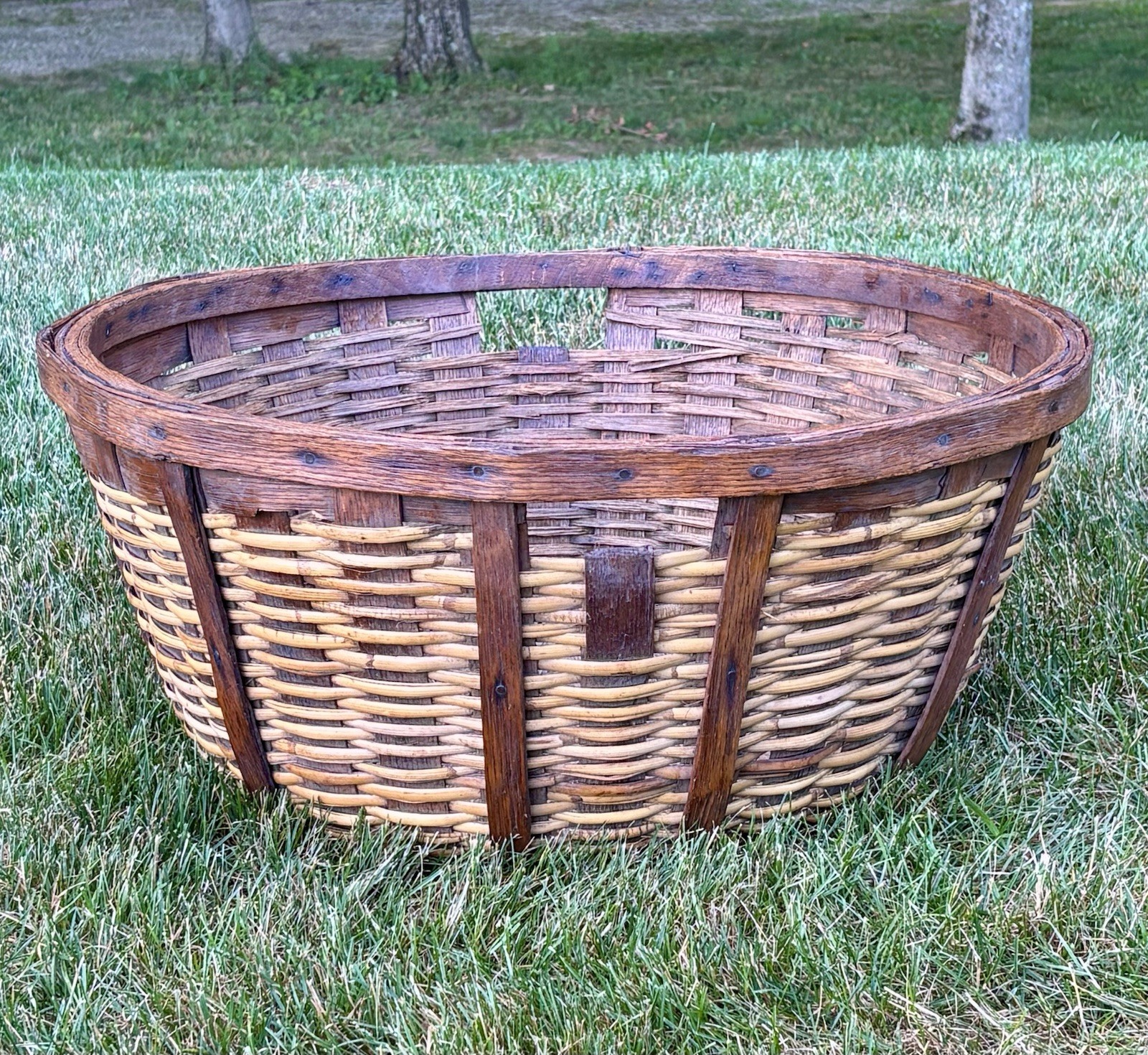 Antique Primitive Star-Staved Harvest Basket 27” Orchard Cabbage Agricultural