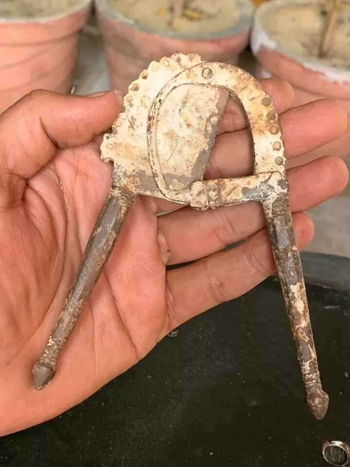 Antique Hand Crafted Iron Made Betel Nut Areca Nut Cutter Cracker Indian Sarota