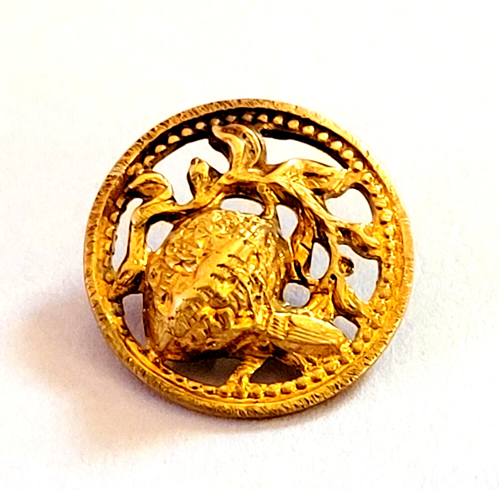 Victorian Insect & Nut Filagree Brass Button 3/4 Inch #2