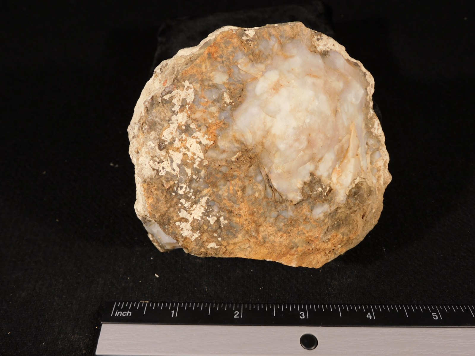 Big! 200 Million Year Old DINOSAUR TURD Fossil or COPROLITE Jurassic Utah 892gr