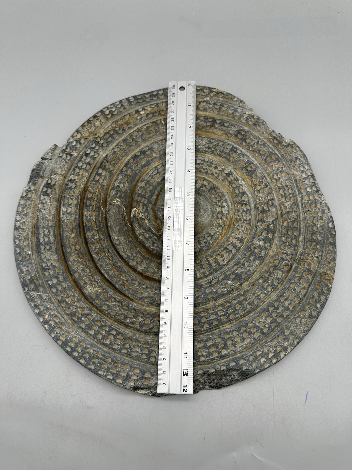 Ancient Near Eastern Halilrud Round With Snake Unusual Item