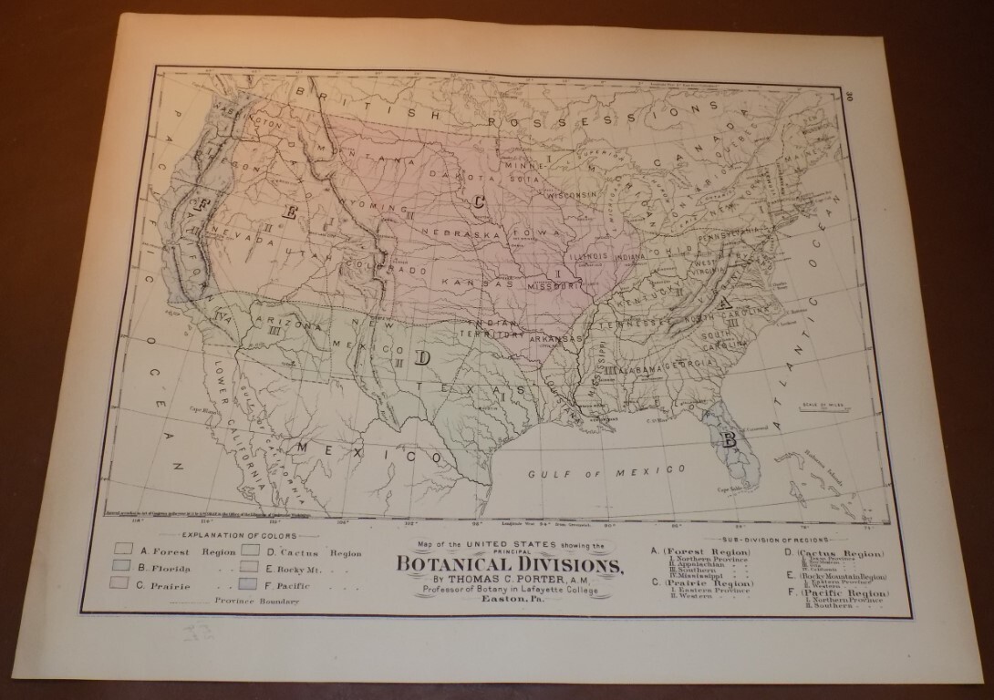 1875 Frank Gray HAND-COLORED Map of UNITED STATES ZOOLOGICAL DIVISIONS