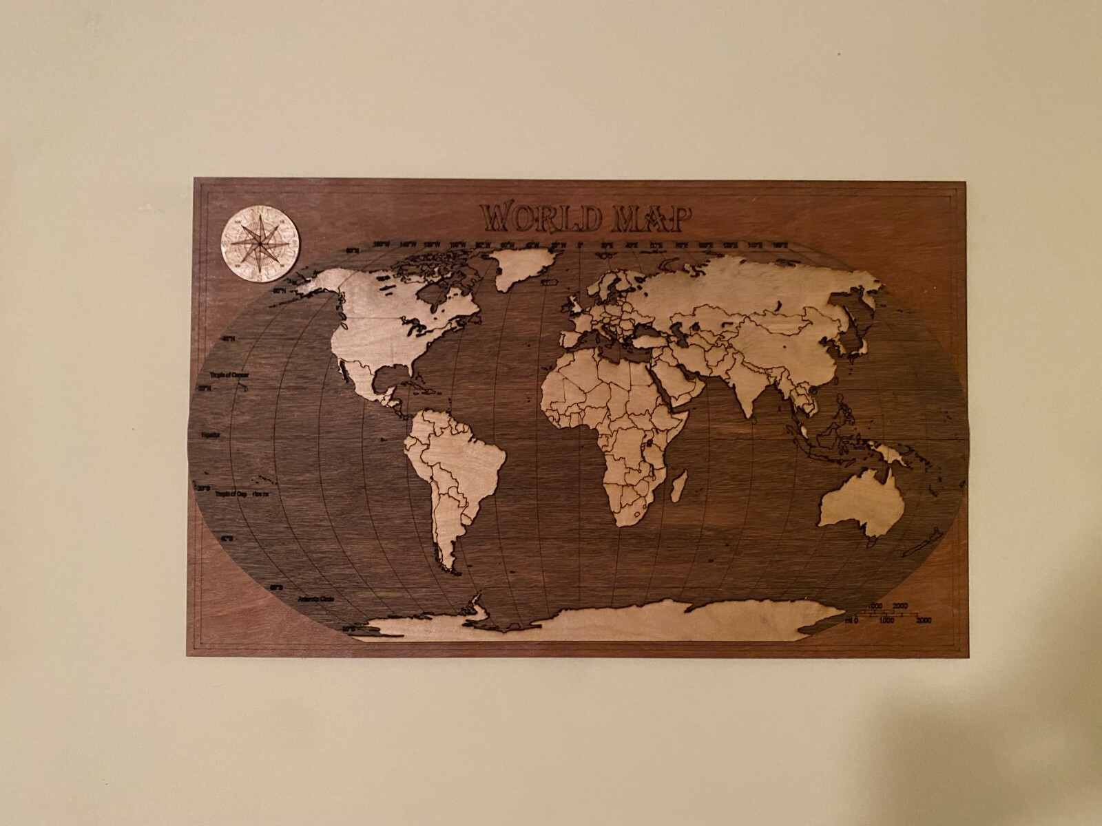 wooden world map