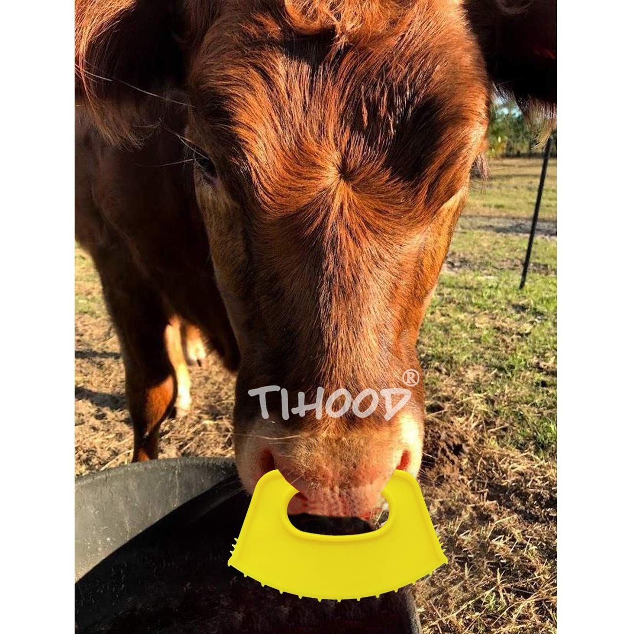10-Pack Eco-Friendly Cattle Weaning Tools – Effective Anti-Sucking Solution