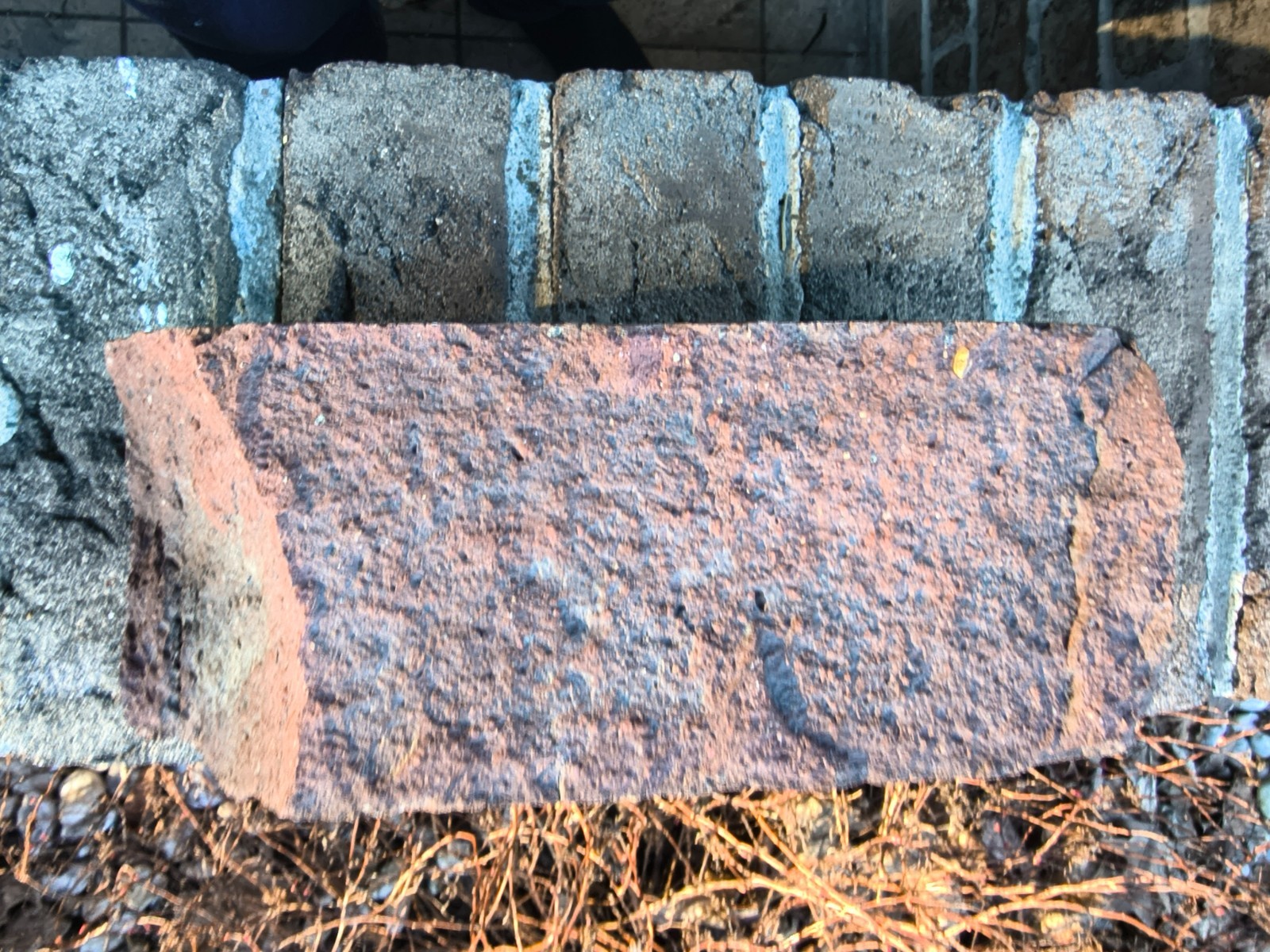 Antique Clydesdale Stamped Paving Brick – 8 lb Heavy Duty Reclaimed Garden Decor