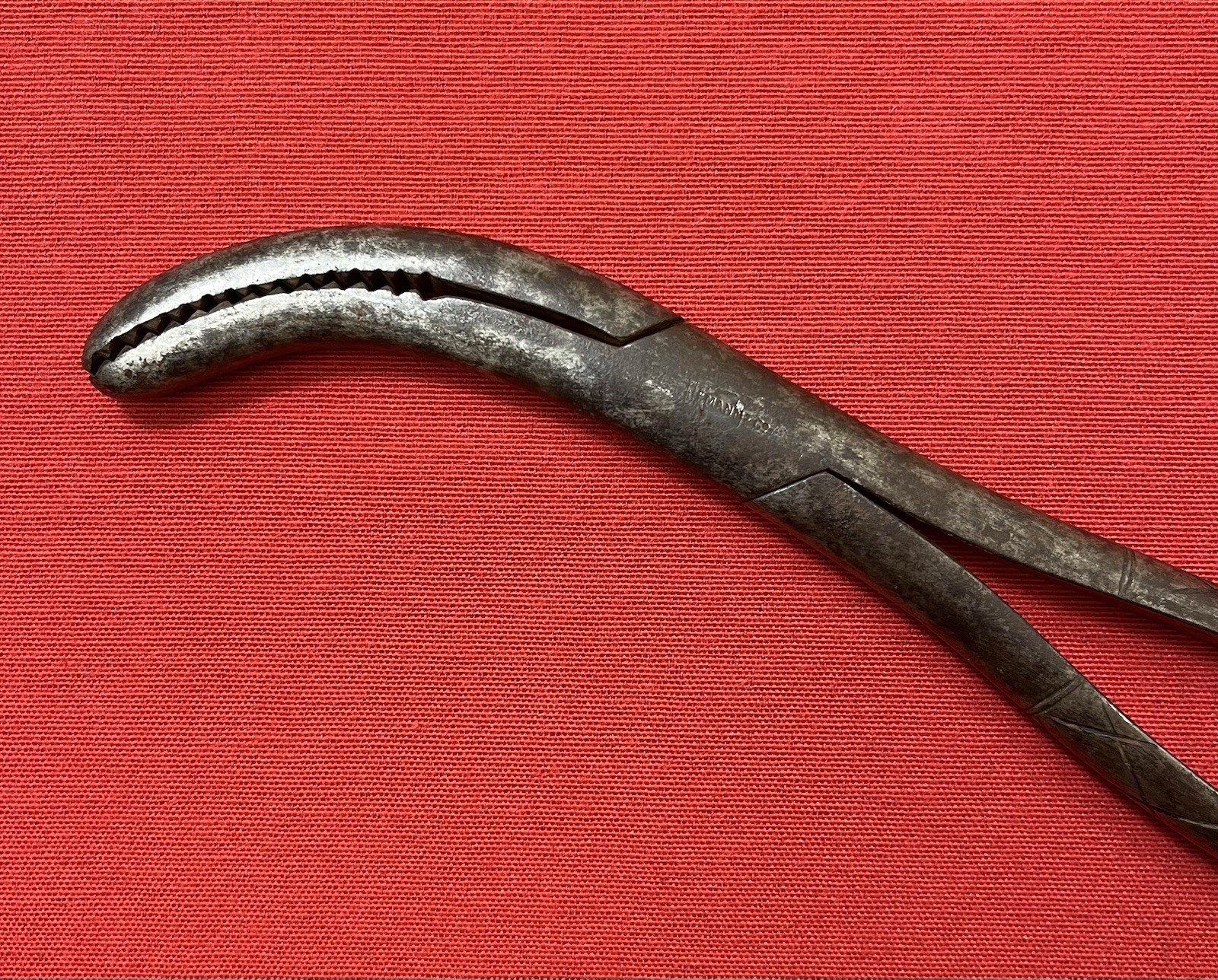 1801-1850 CRANIOTOMY CRANIOCLAST FORCEPS (CIVIL WAR ERA) BY TIEMANN & CO. #3