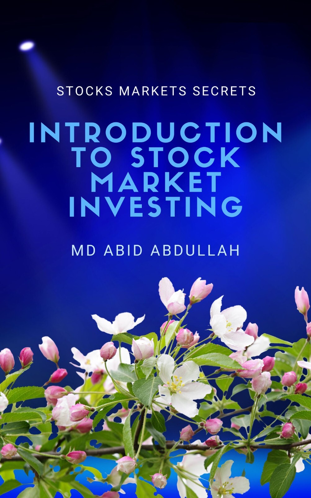 Introduction to Stock Market Investing