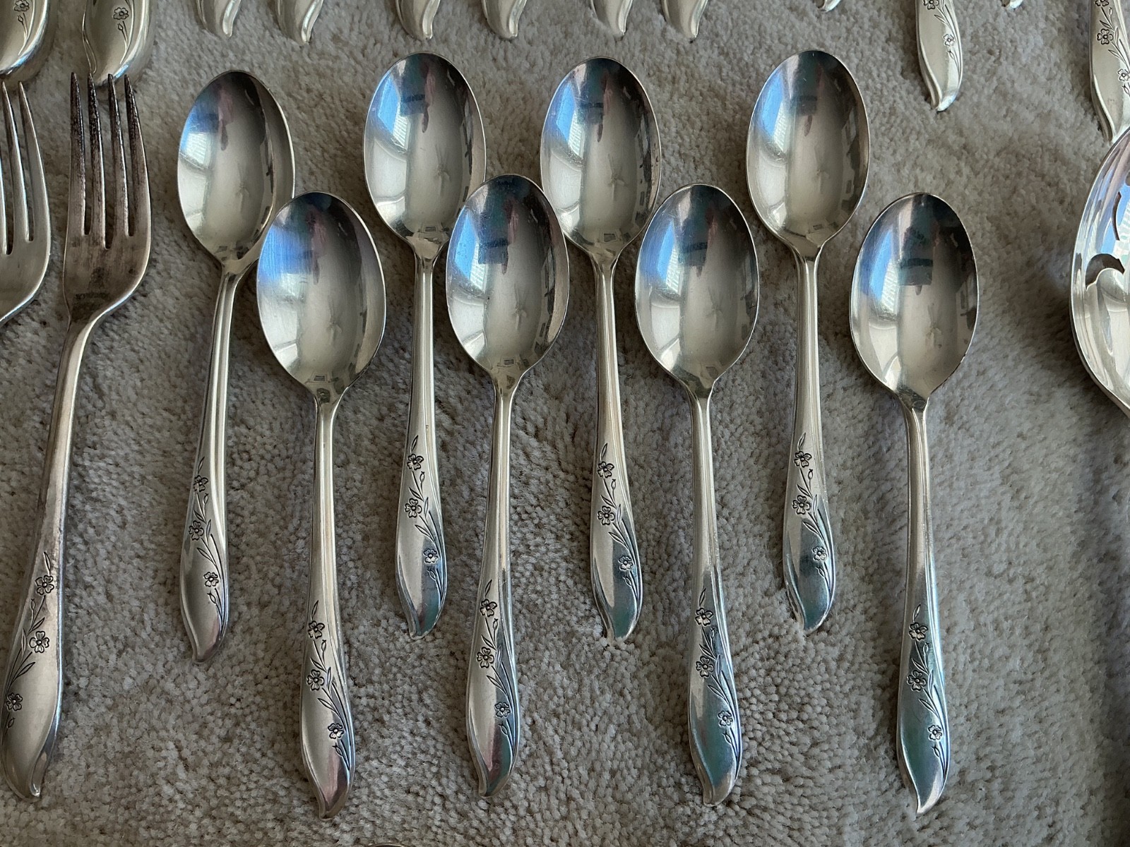 Roger Bros SPRINGTIME Silverplate Flatware Silverware 50 Piece Set, Serving Pcs