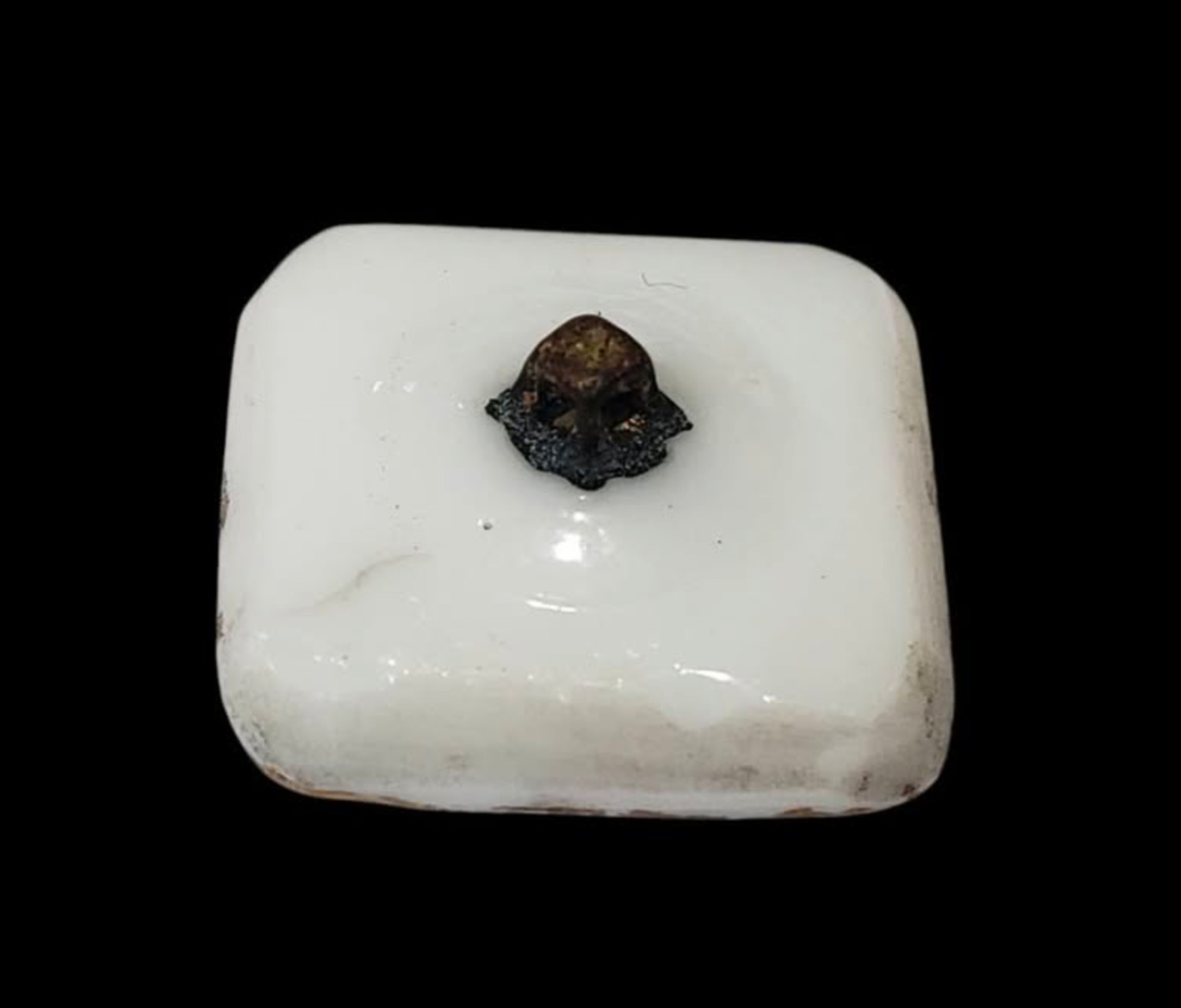 Square Glass Button with Blue Flower, Art Nouveau Design, Box Shank