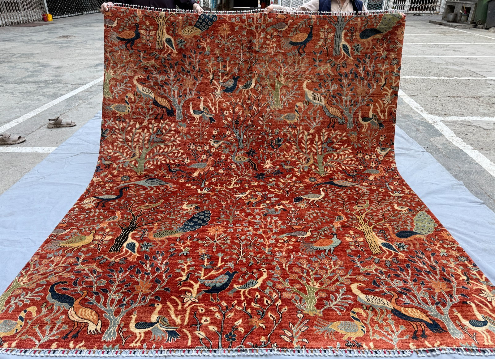 8.2×9.10 Afghan Kazak Pictorial Peacock Rug Red Blue Living Room Bedroom