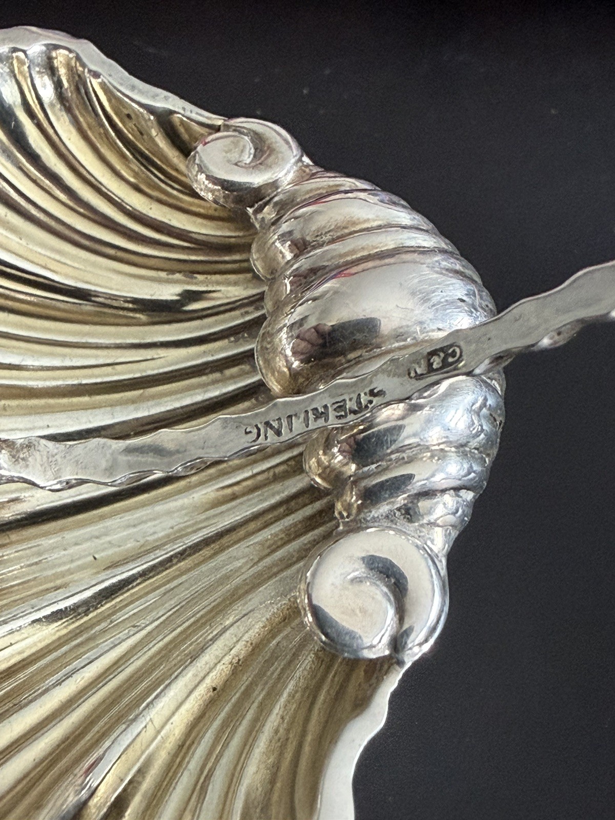Cased Pair Solid Silver Scallop Shell Open Salt Dishes & Spoons C & N 1899