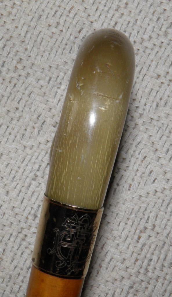 Antique Malacca Walking Stick / Cane Double Gold Collar Bovine Horn Crook Handle