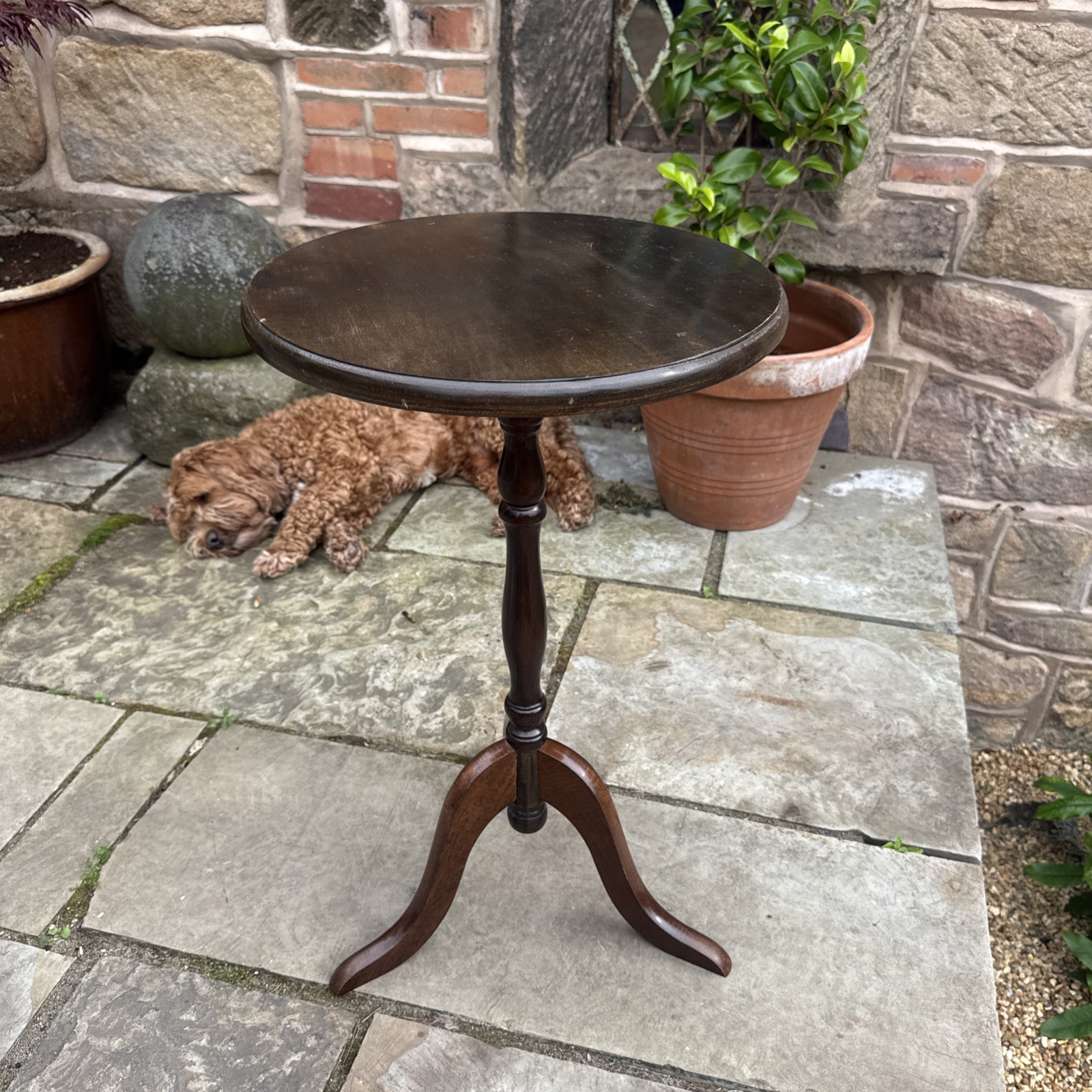Occasional Wine Table Tripod Wood Turned Column Varnished Side Table Home Decor