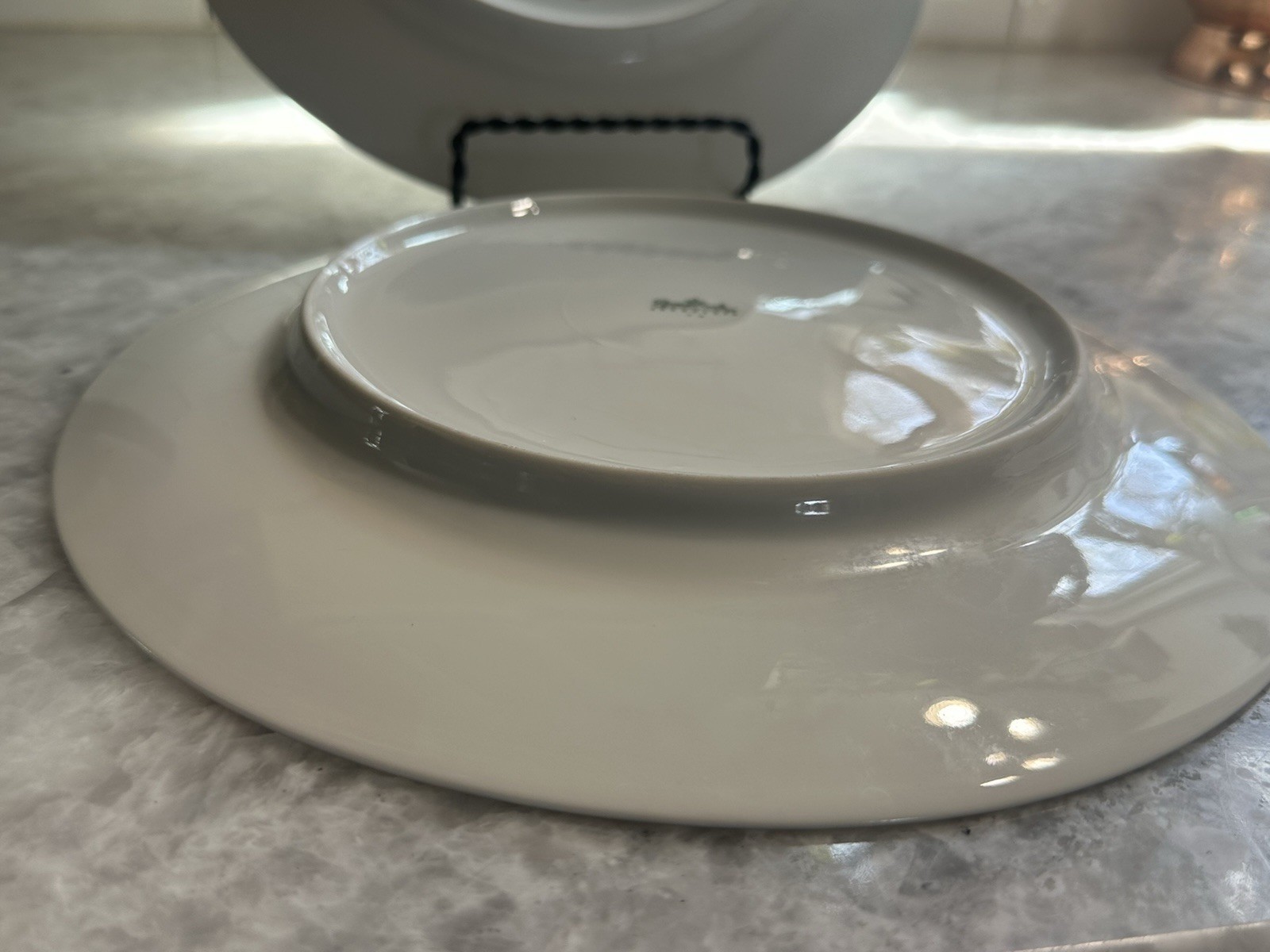 Rosenthal Bountiful Wheat 10” Dinner Plates ~ Set of 2 ~ Circa 1966