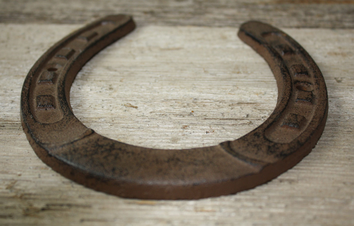 Cast Iron Lucky Horseshoe Rustic Ranch Western Home Decor 5 1/2 x 6.5 in TEXAS