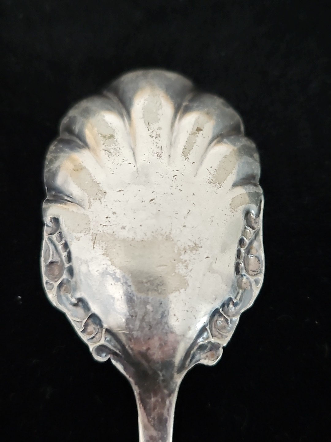 WILLIAM A. ROGERS & SON SCALLOPED SHELL SUGAR/NUT SPOON Elmore