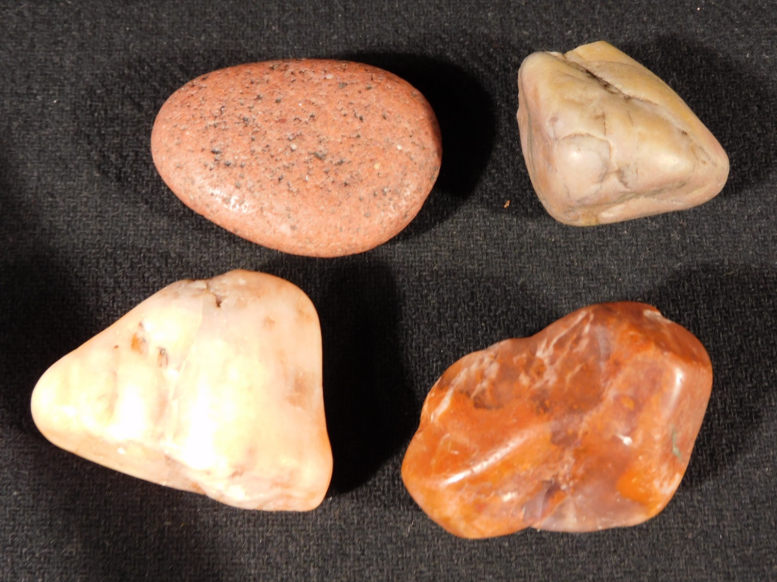 Lot of FOUR! DINOSAUR Gastrolith or STOMACH Stones 100% Natural Utah 174gr