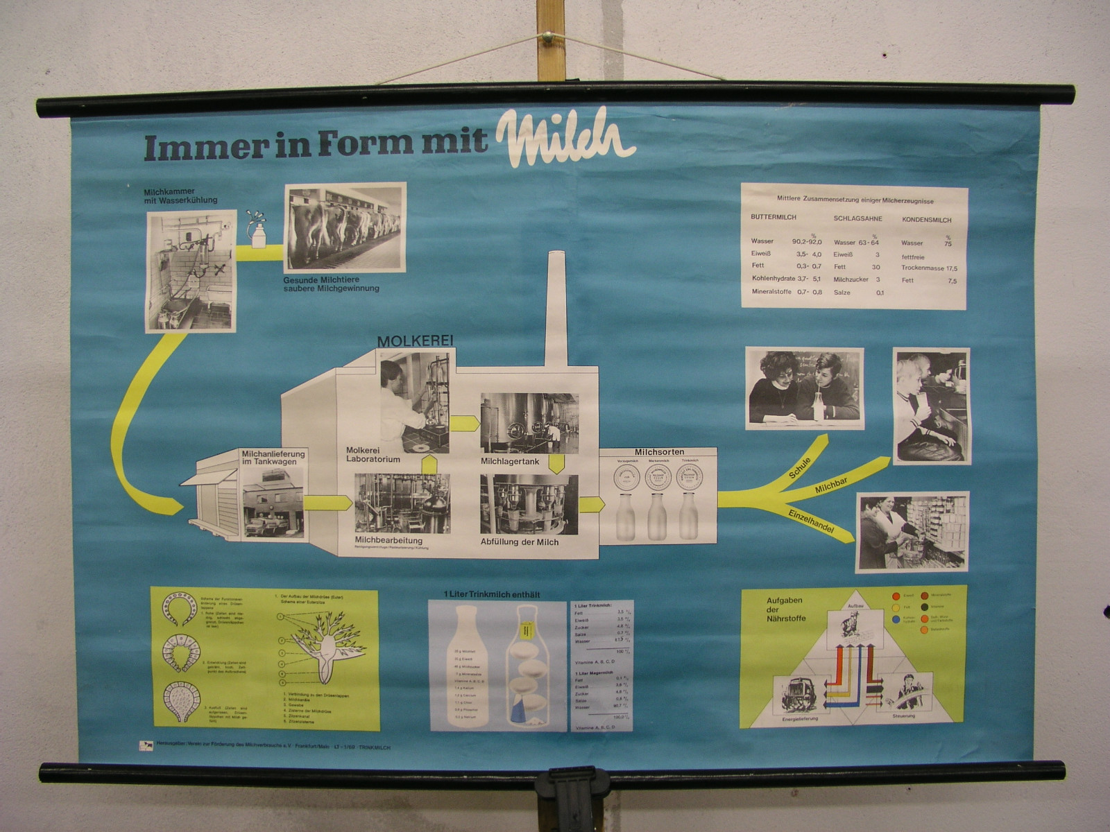 School Wall Map The Milk Makes Always In Shape With Makes Tired Men Alert 98×66