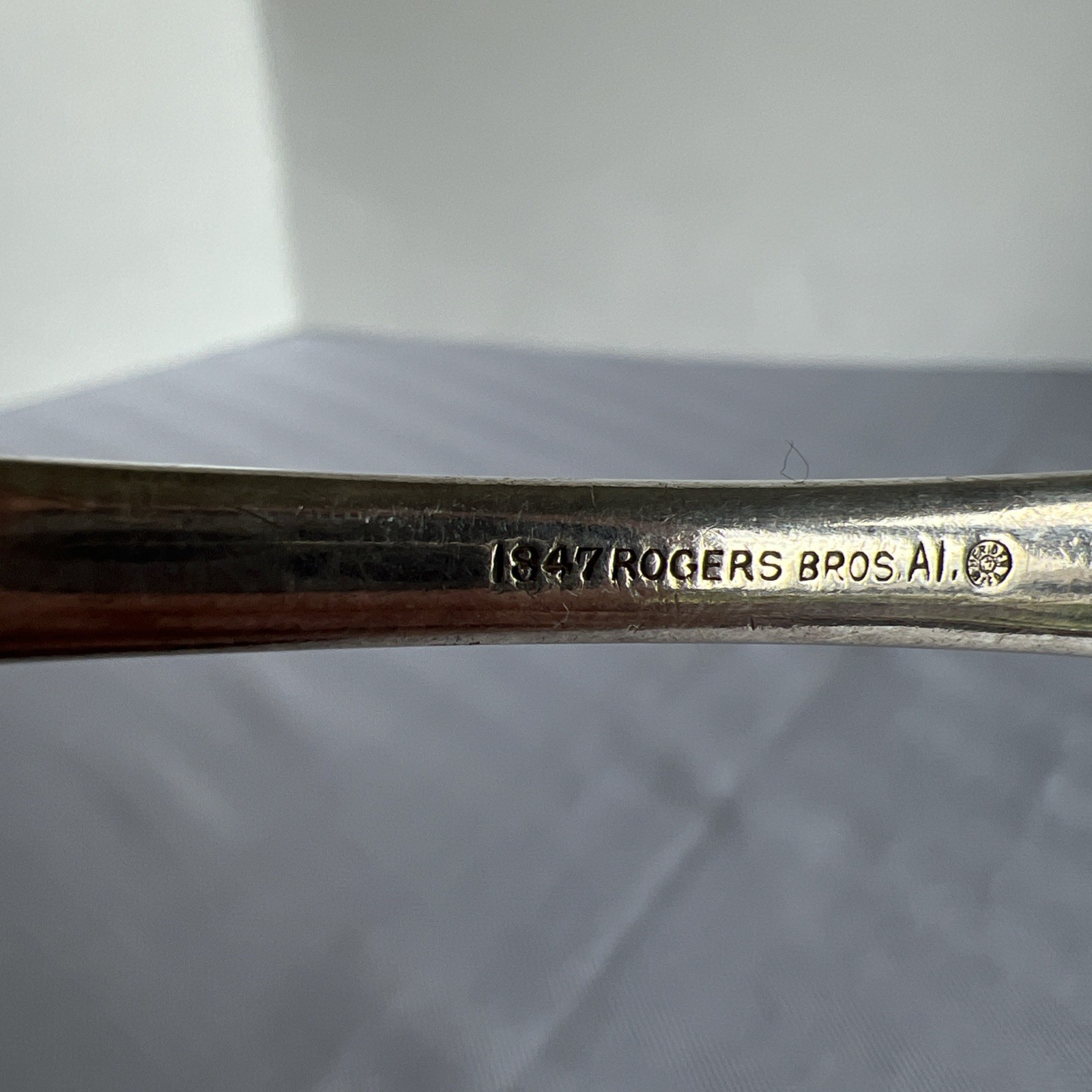 ASSYRIAN HEAD Solid Shell Berry/Casserole Serving Spoon 1847 Rogers Bros 8 1/2”