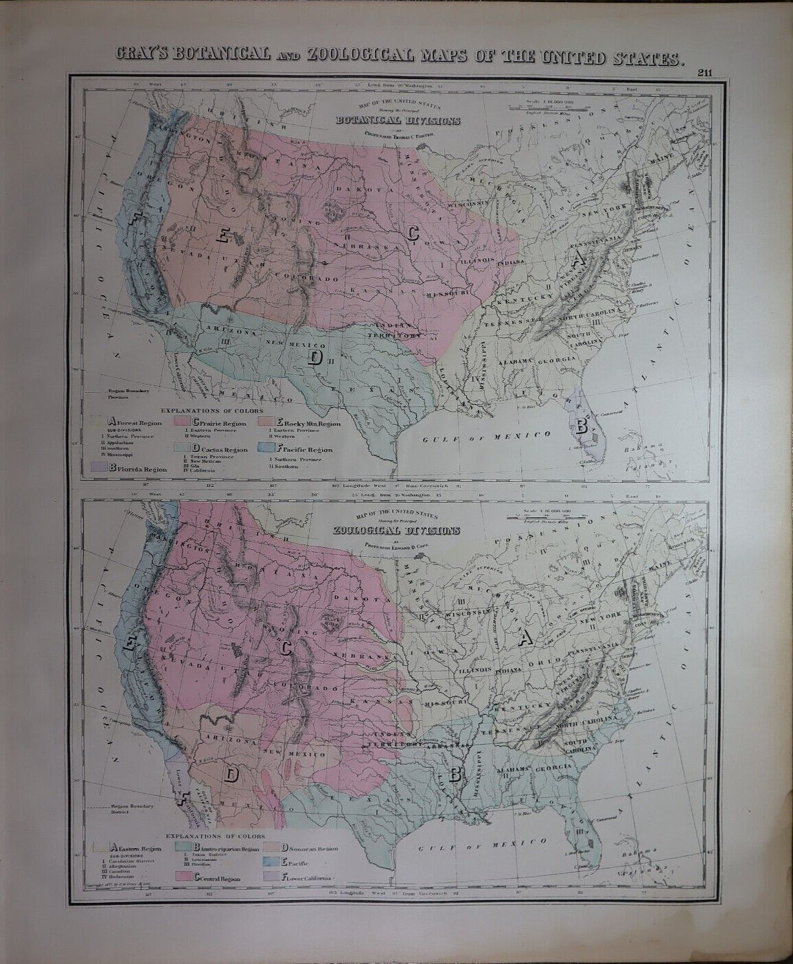 1886 O.W. Gray’s Atlas UNITED STATES BOTANICAL & ZOOLOGICAL MAP (LG14x17) -#229