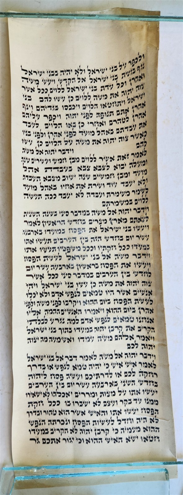 TORAH SCROLL FRAGMENT MANUSCRIPT on VELLUM 19th century ANTIQUE BOOK of NUMBERS