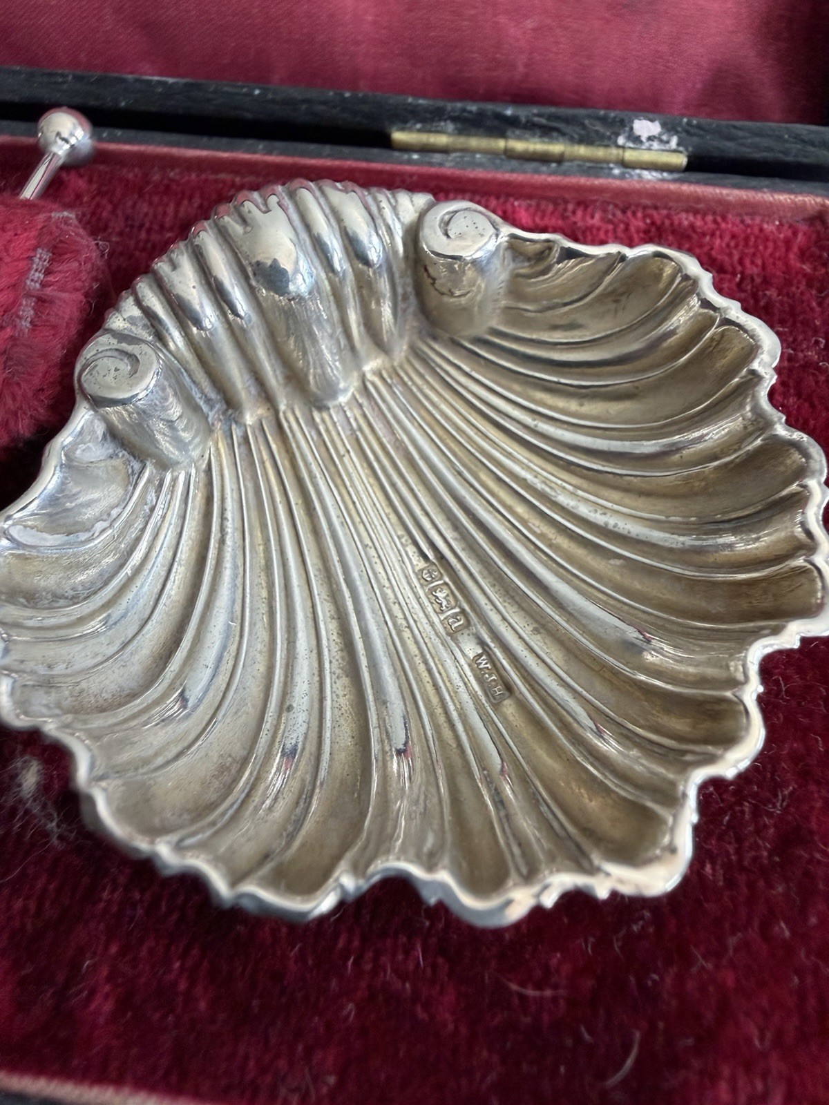 Cased Pair Solid Silver Scallop Shell Open Salt Dishes & Spoons W Holmes 1900