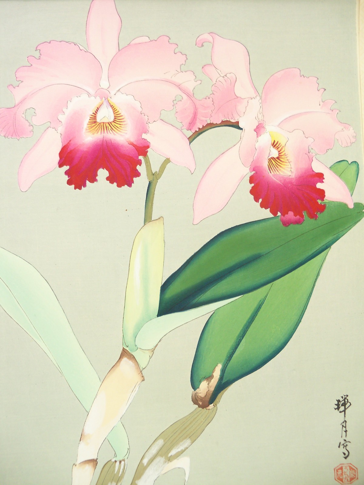 Still Life of Orchids by Japanese Artist Ikeda Zuigetsu Kyoto Woodblock Print