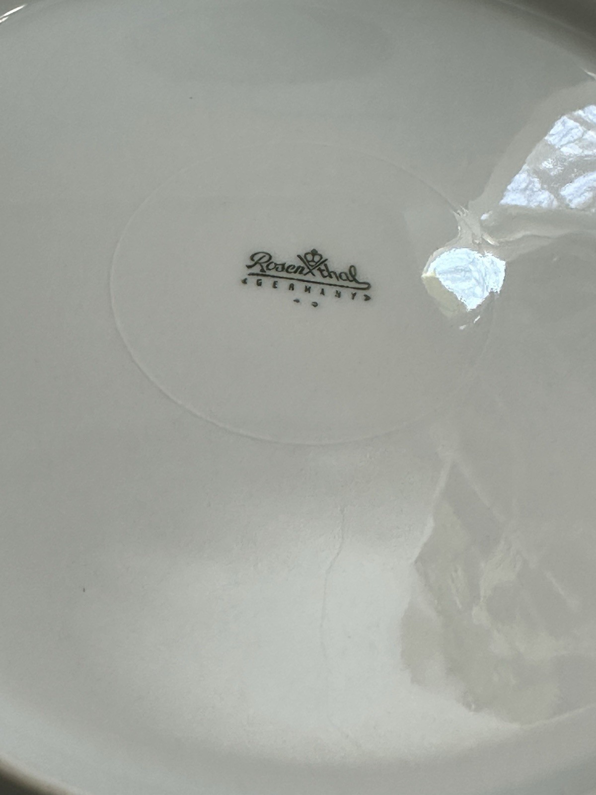 Rosenthal Bountiful Wheat 10” Dinner Plates ~ Set of 2 ~ Circa 1966