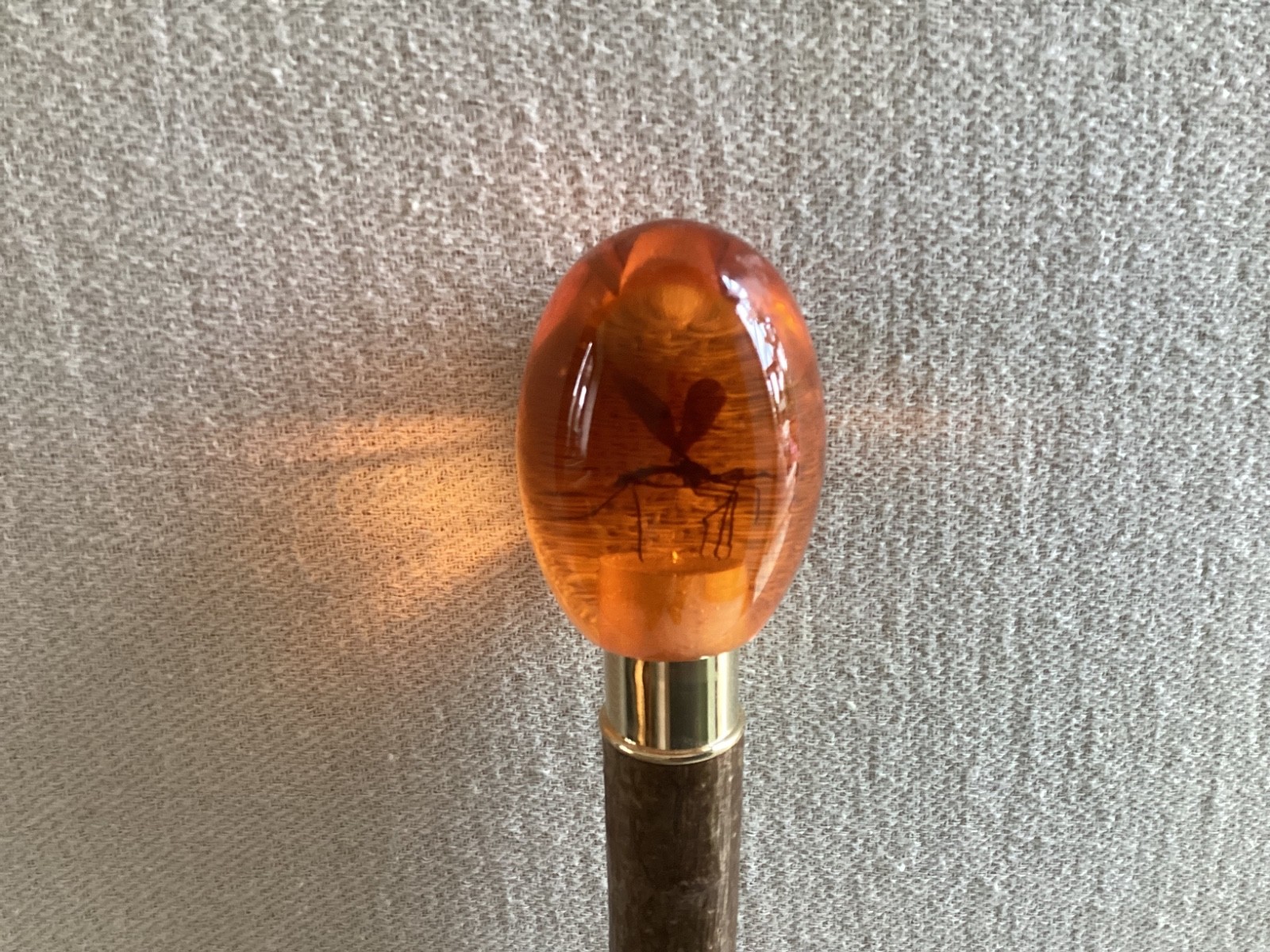 Jurassic Park Amber Mosquito Resin Head Snakeskin Hazel Walking Stick No.1