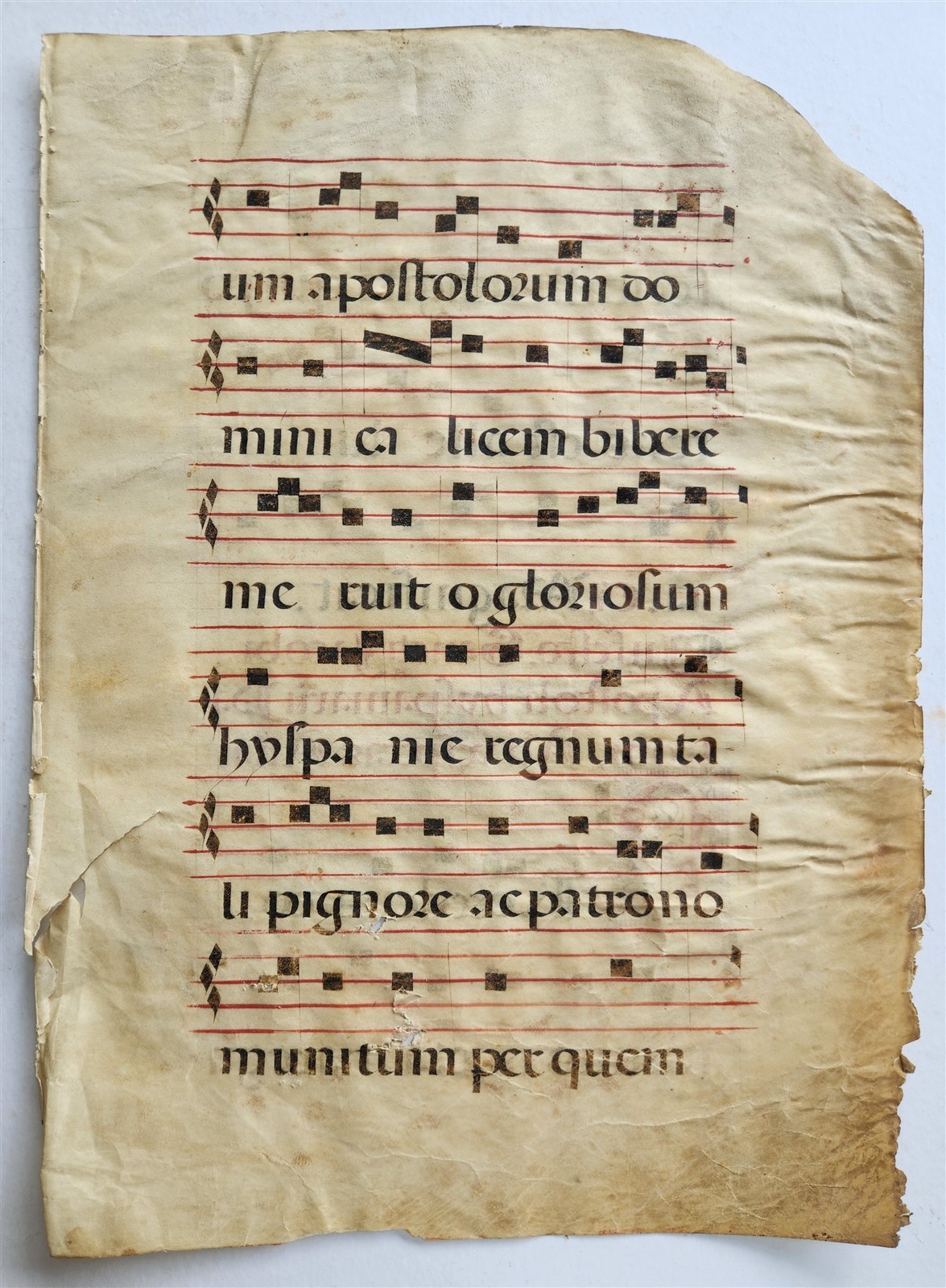 16th cent. ANTIPHONAL MUSIC CHART VELLUM MANUSCRIPT antique LITURGICAL TEXT