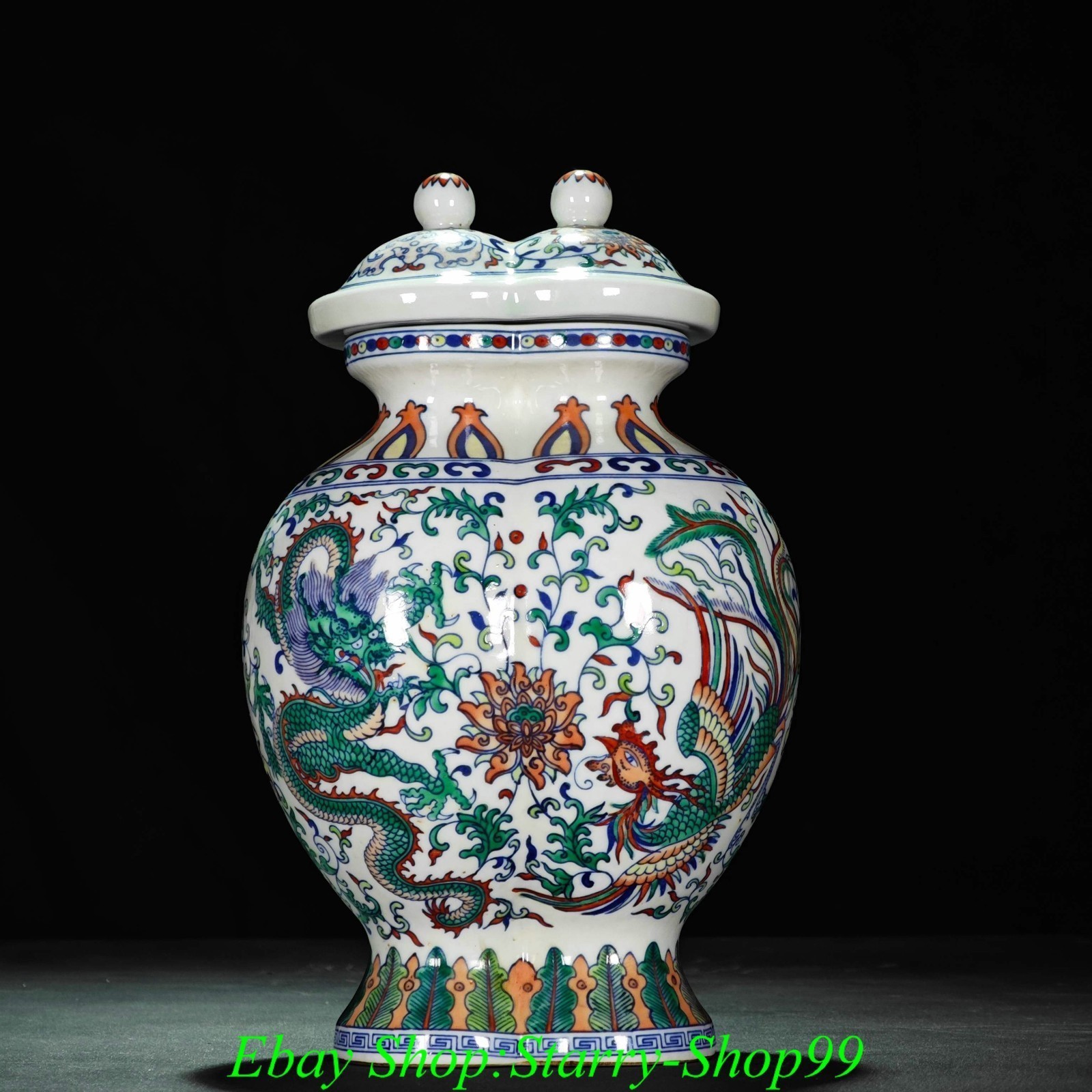 11″Qianlong Marked Doucai Porcelain Dragon Beast Phoenix Bird Flower Bottle Vase