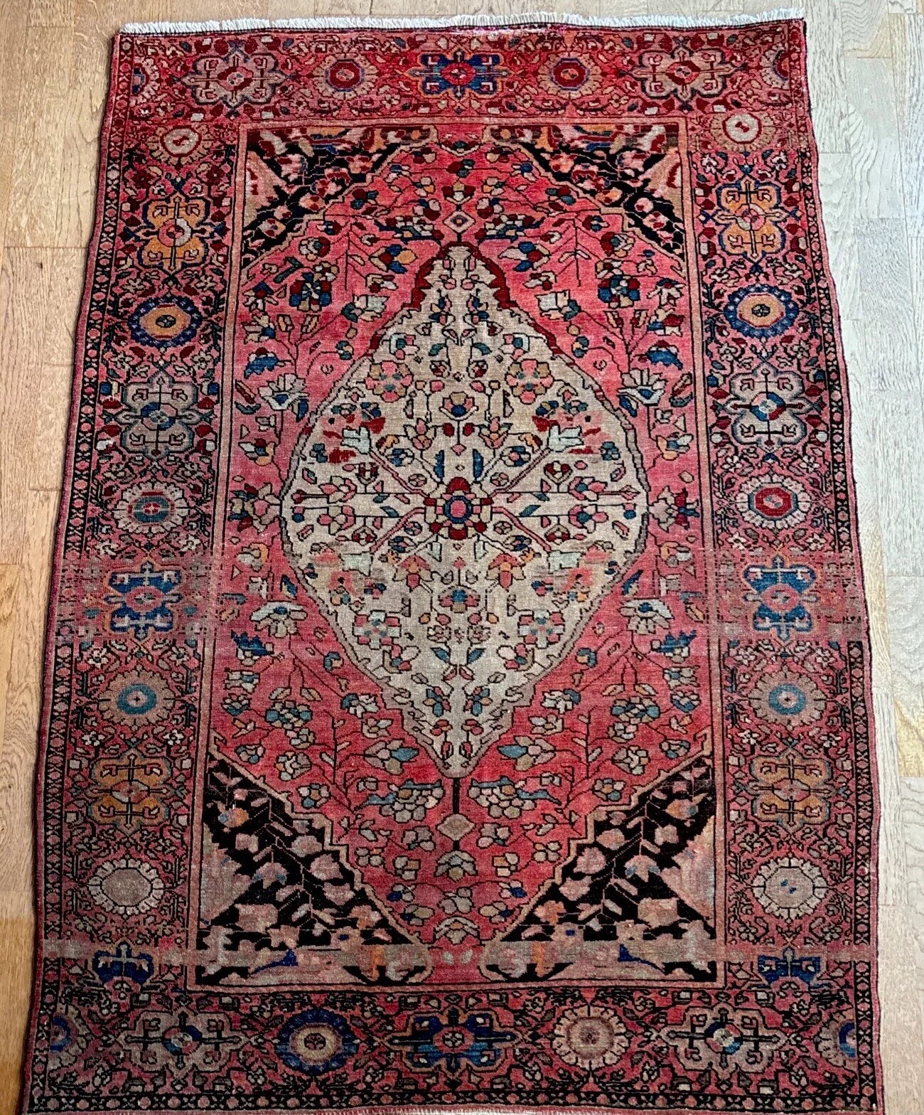 Mid 19th C. Antique 3 X 5 Farahan Sarouk Rug Ivory Salmon Aquamarine Navy