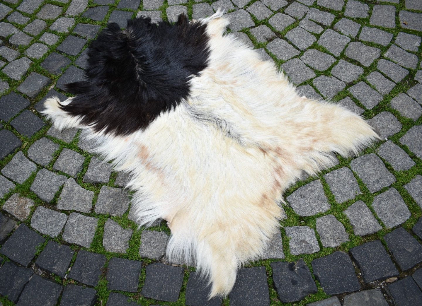 Angora Goat Leather Goatskin Fur 2 x 3 ft Pelt Hide 100% Natural Goat Skin Rug