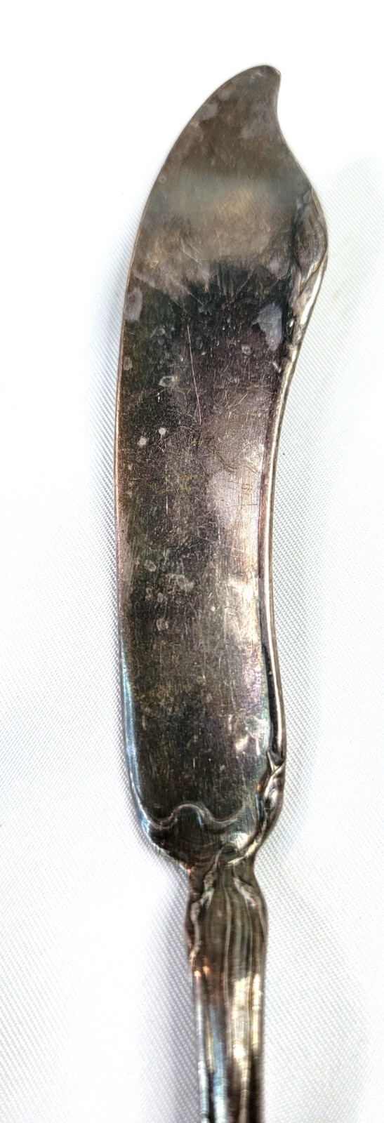 Community Silver Triple Plus Flower De Luce Silverplate Master Butter Knife