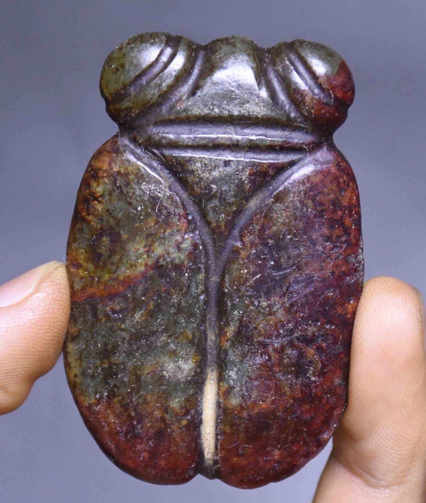 6CM China Hongshan Culture Old Jade Fengshui Cicada Bird Beast Amulet Pendant