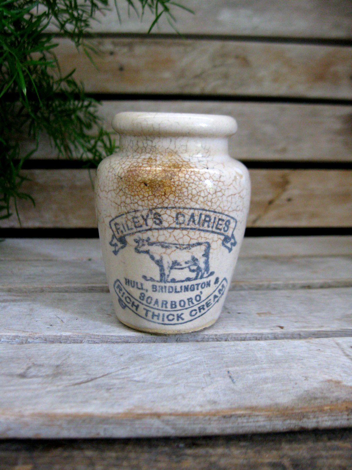 Small Primitive Vintage English Ironstone Cream Bottle Rileys Dairies Scarboro